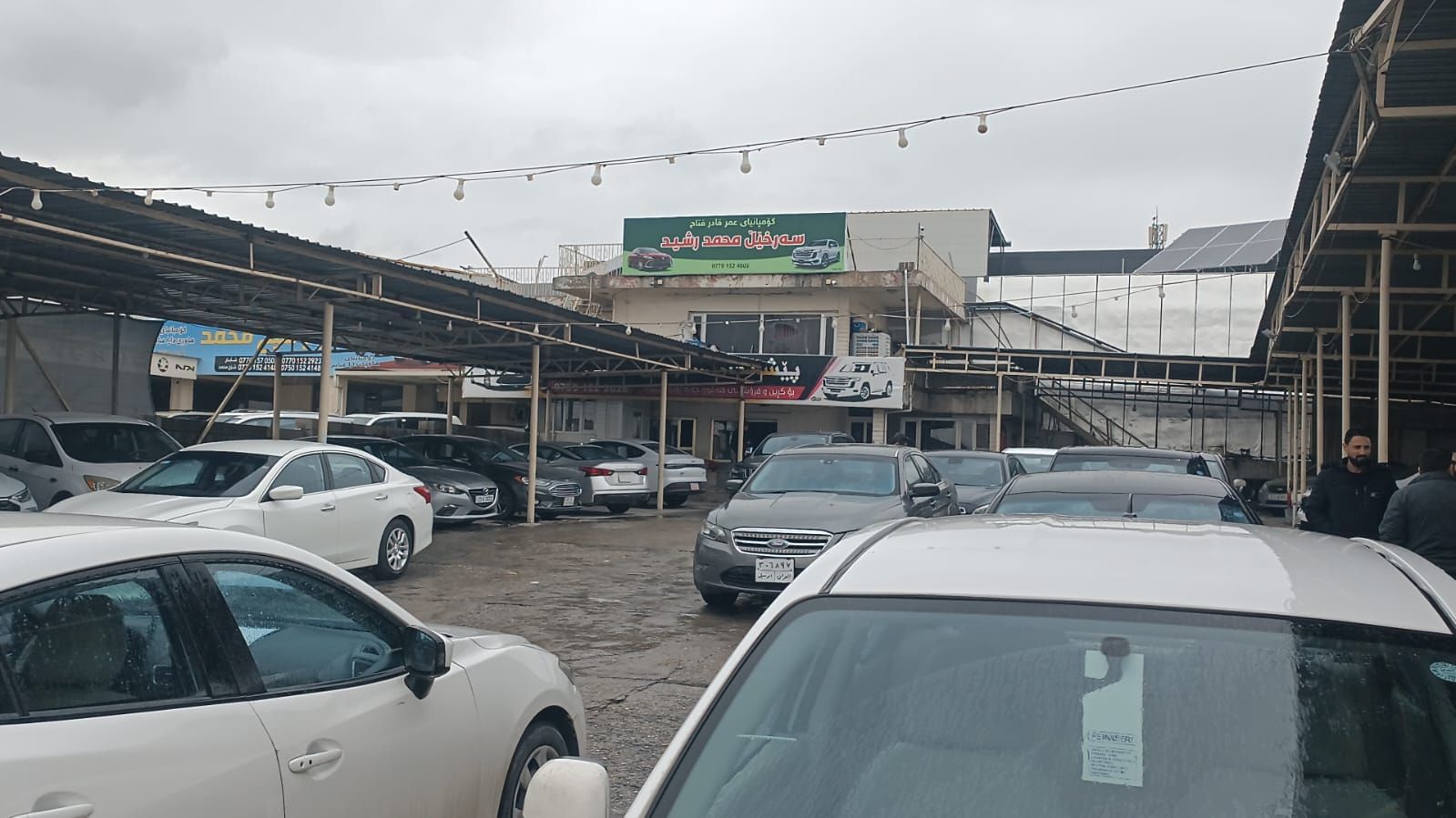 معرەز  سەرخێڵ